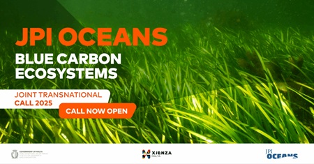 JPI Oceans Blue Carbon Ecosystems – Joint Transnational Call 2025