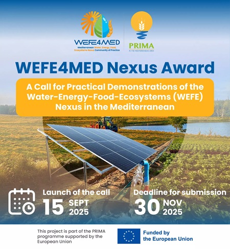 WEFE4MED Nexus Award