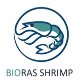 BIORAS SHRIMP Logo
