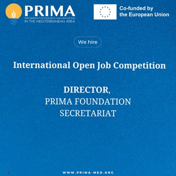 PRIMA Vacancy - Director