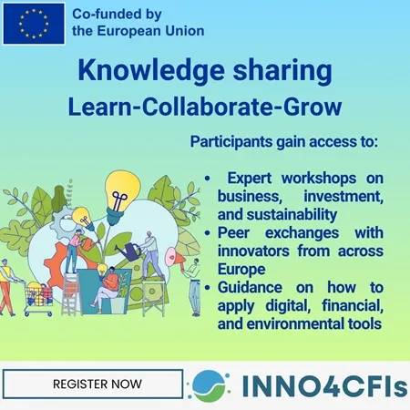 INNO4CFIs Acceleration Program