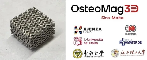 Project OsteoMag3D