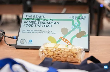 World Pulses Day  Special Edition - BEANS Meta Network