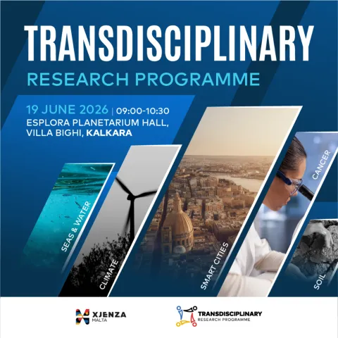 Transdisciplinary Research Programme