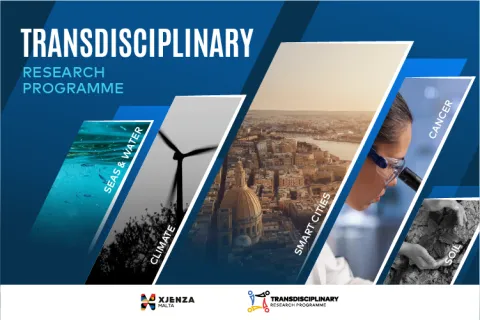 Transdisciplinary Research Programme