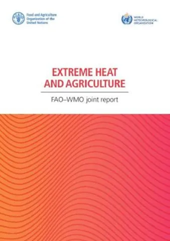 Extreme Heat
