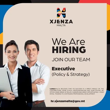 Executive (Policy &amp; Strategy)