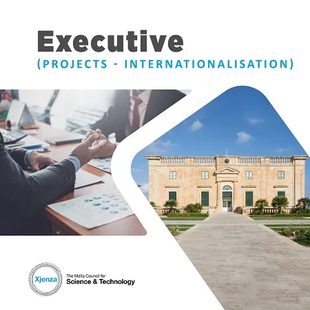 Executive (Projects – Internationalisation)