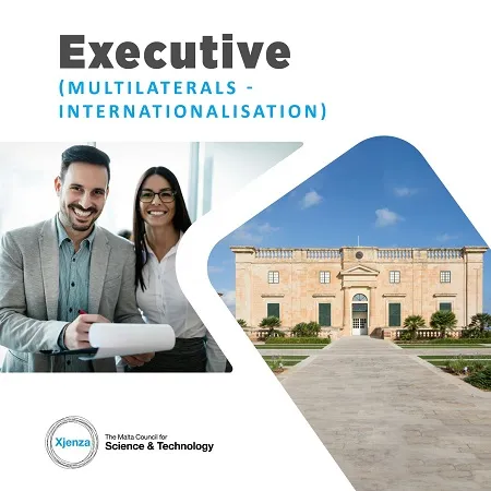 Executive (Multilaterals – Internationalisation)