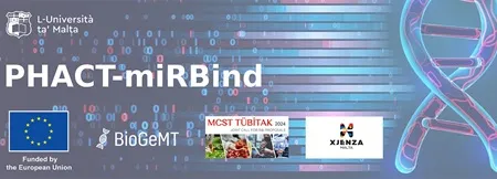 Project: PHACT-miRBind