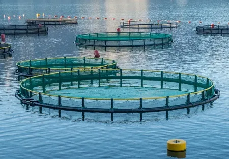 Call for an Expression of Interest to Join a Consortium Applying for the EMFAF Call (Topic 1) 