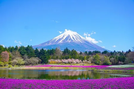 Fuji Mountains