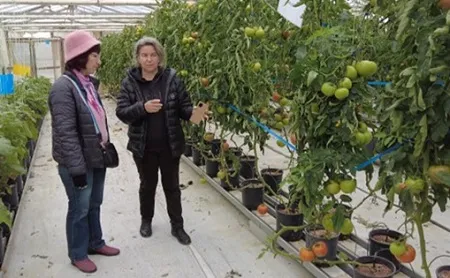 School’s Laboratory of Crop Production &amp; Propagation Material 